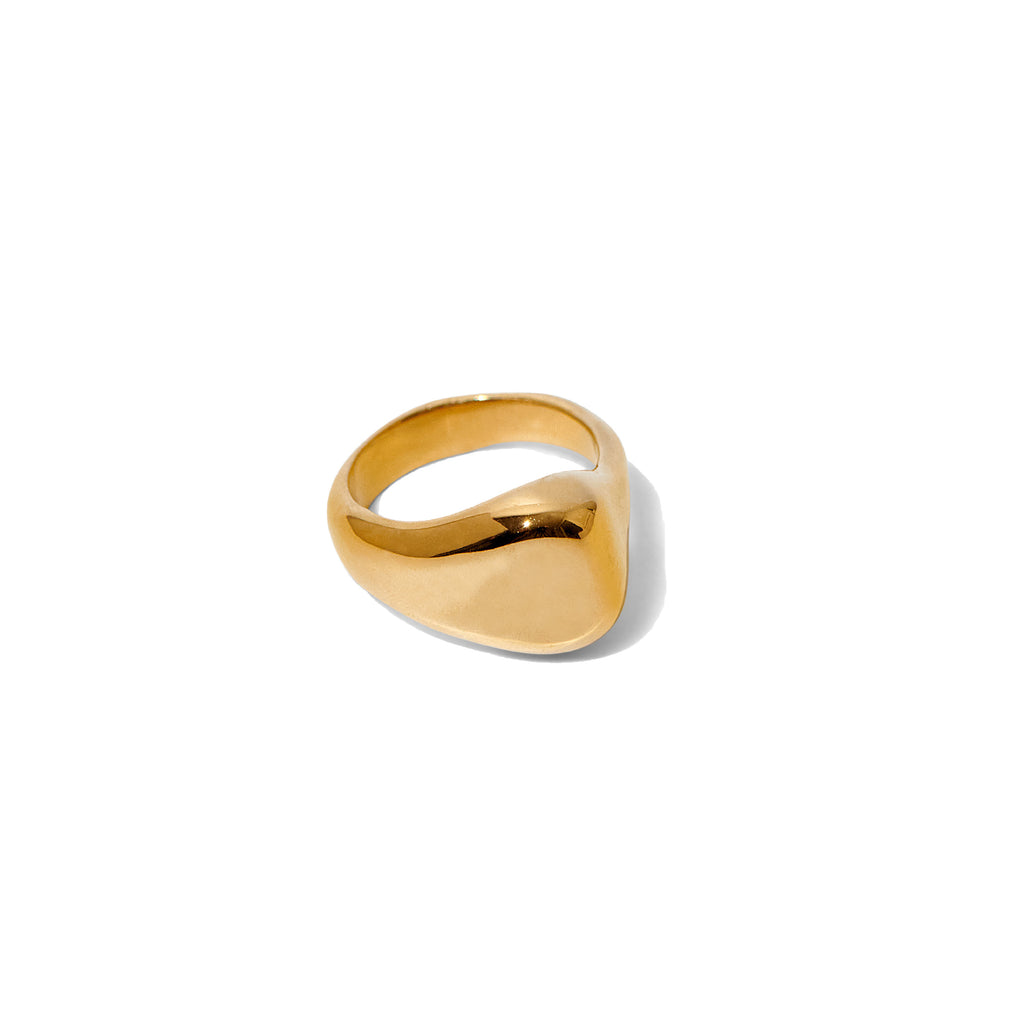 Ariel Signet Ring in 9 Carat Solid Gold