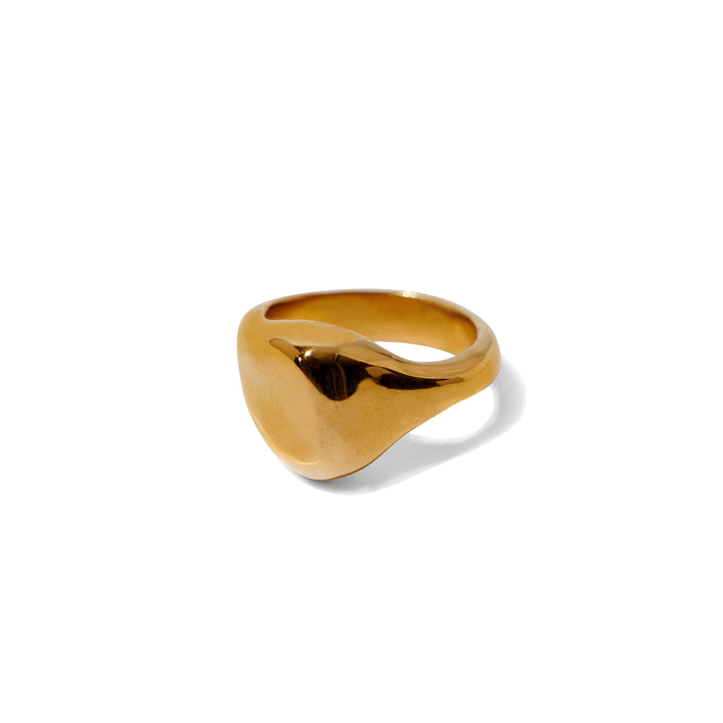 Ariel Signet Ring in 9 Carat Solid Gold